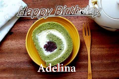 Adelina Birthday Celebration