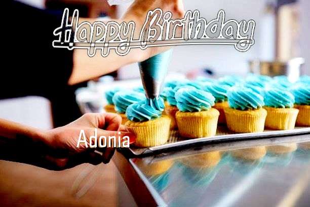 Adonia Cakes