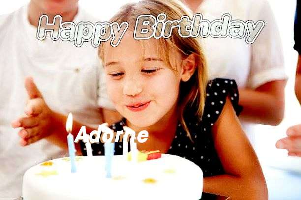 Adorne Birthday Celebration