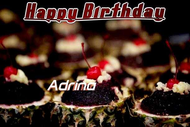 Adrina Cakes