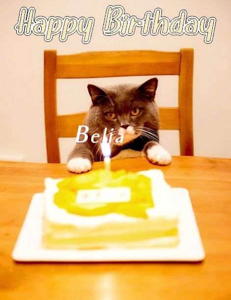 Happy Birthday Cake for Belia
