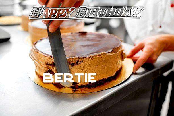 Happy Birthday Bertie Cake Image