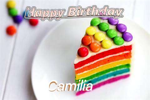 Camilia Birthday Celebration