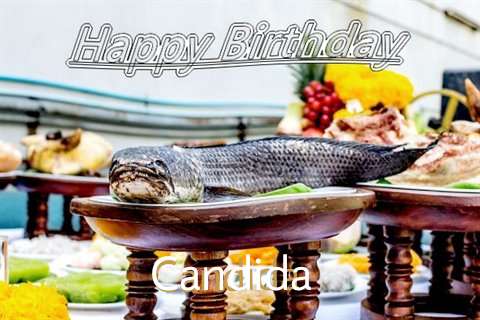 Candida Birthday Celebration