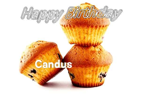 Happy Birthday to You Candus