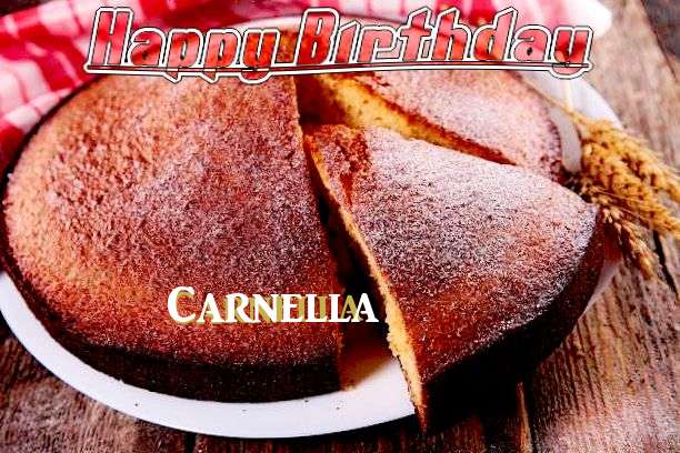 Happy Birthday Carnella Cake Image