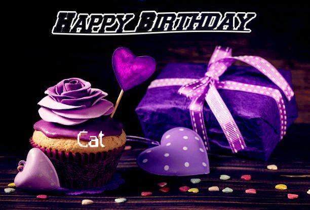 Cat Birthday Celebration