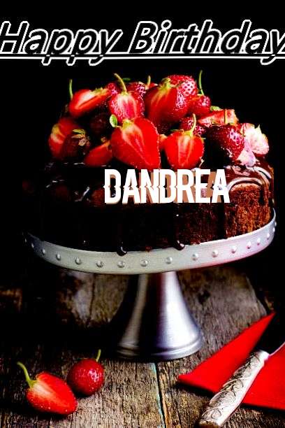 Happy Birthday to You Dandrea
