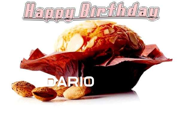 Wish Dario