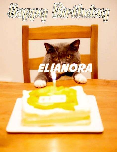 Happy Birthday Cake for Elianora