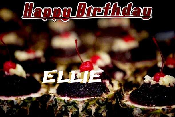 Ellie Cakes