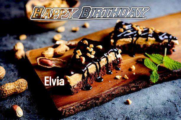 Elvia Birthday Celebration