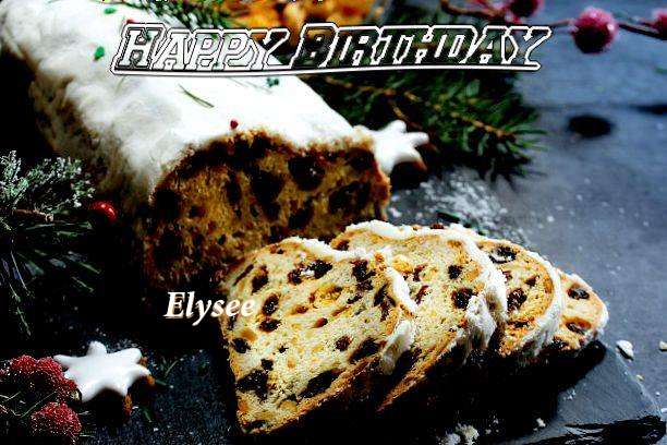 Elysee Cakes