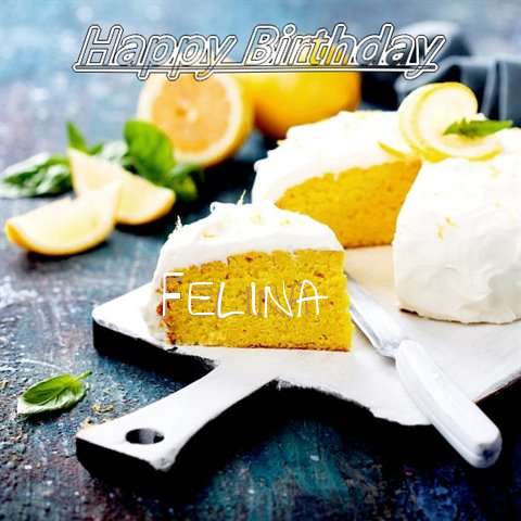 Felina Birthday Celebration