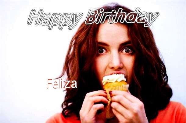 Birthday Wishes with Images of Feliza