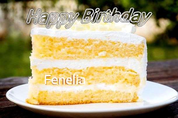 Wish Fenelia