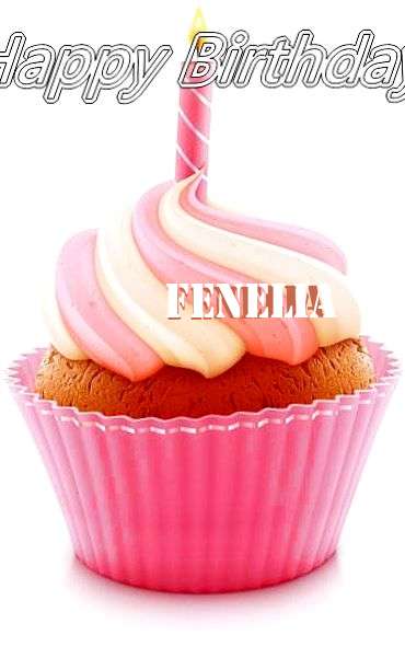 Happy Birthday Cake for Fenelia