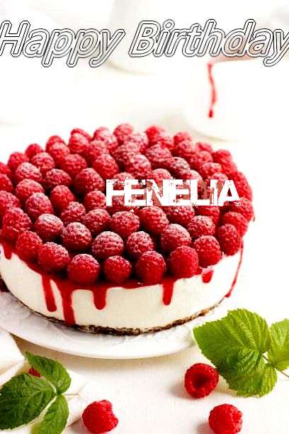 Fenelia Cakes
