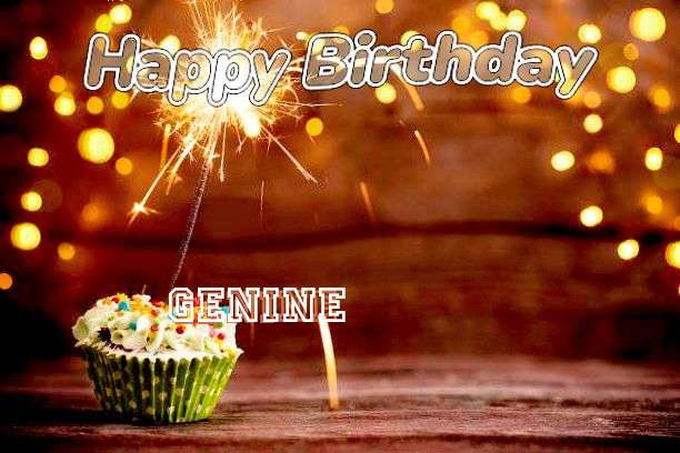 Birthday Wishes with Images of Genine