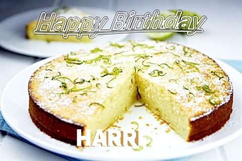 Happy Birthday Harri