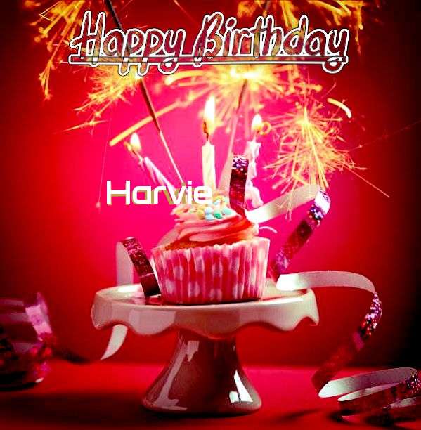 Harvie Cakes