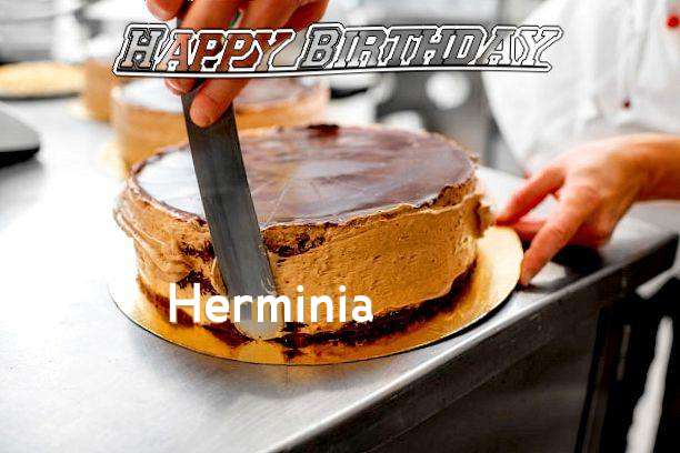 Happy Birthday Herminia Cake Image