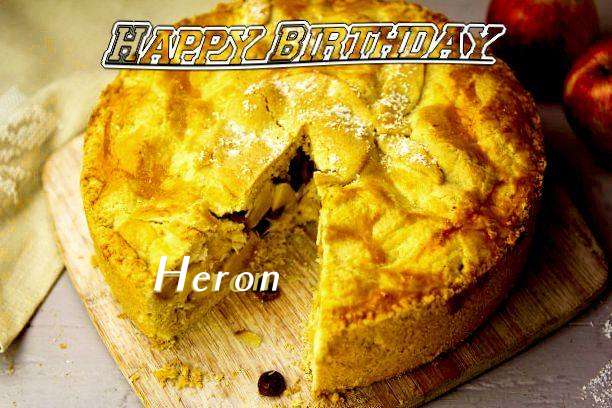 Heron Birthday Celebration
