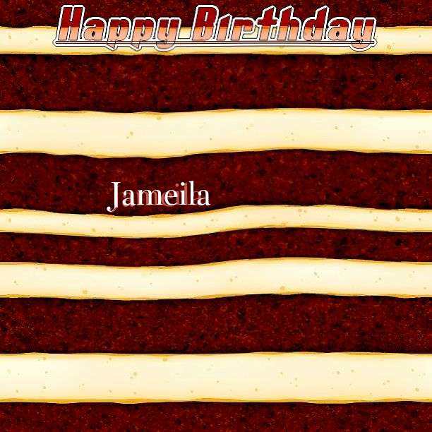Jameila Birthday Celebration