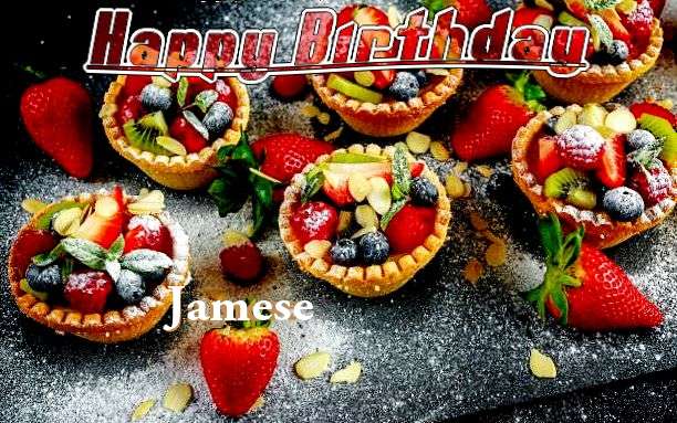Jamese Cakes