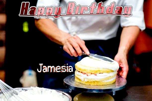 Jamesia Cakes
