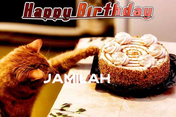 Happy Birthday Wishes for Jamilah