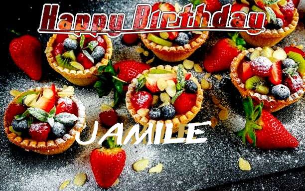 Jamile Cakes