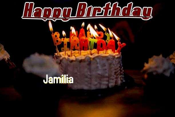 Happy Birthday Wishes for Jamilia