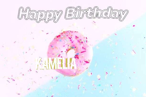 Happy Birthday Cake for Kamelia