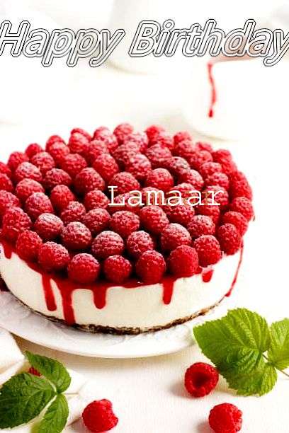 Lamaar Cakes