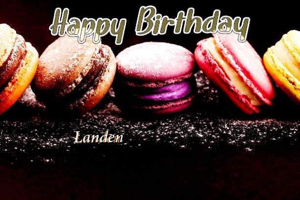 Landen Birthday Celebration