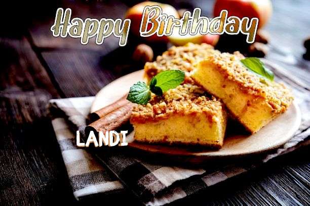Landi Birthday Celebration