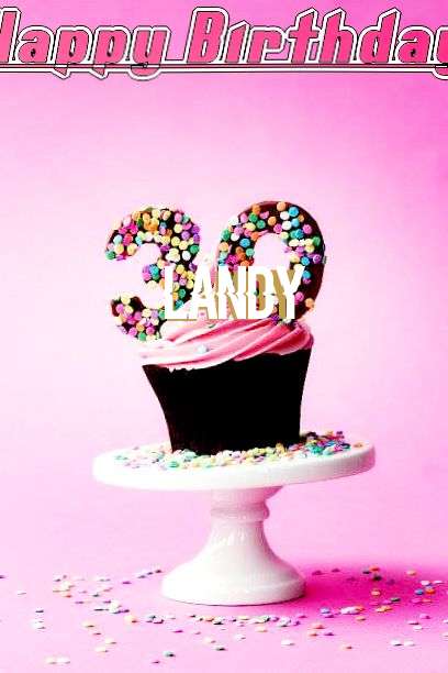 Landy Birthday Celebration