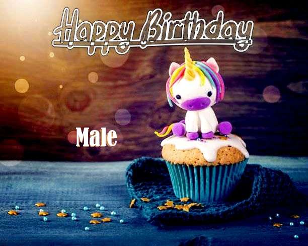 Happy Birthday Wishes for Male