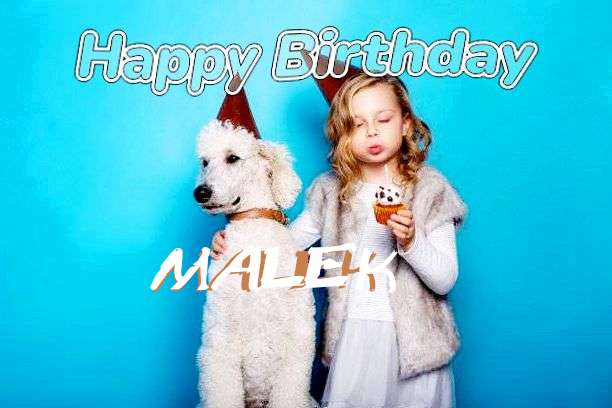 Happy Birthday Wishes for Malek