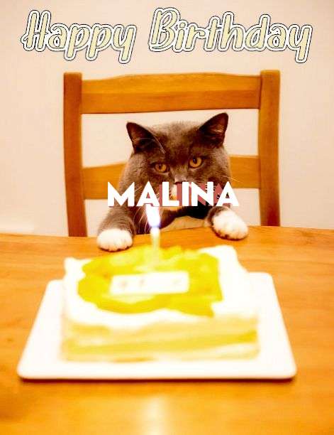 Happy Birthday Cake for Malina