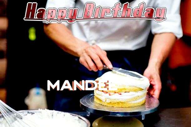 Mandee Cakes