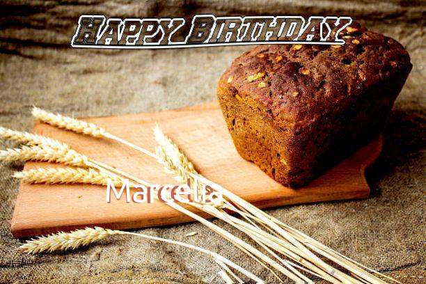 Marcelia Cakes