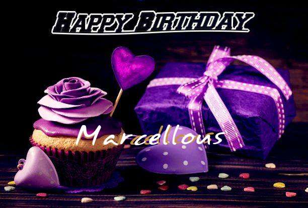 Marcellous Birthday Celebration