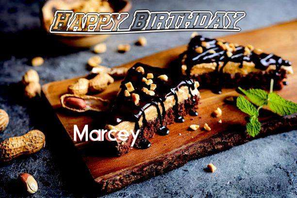 Marcey Birthday Celebration