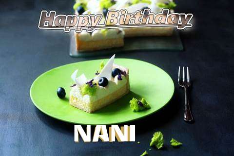 Nani Birthday Celebration