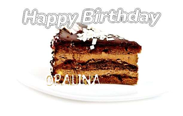 Opalina Birthday Celebration