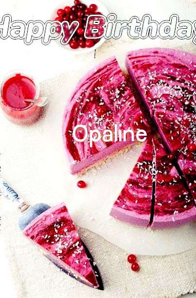 Opaline Cakes