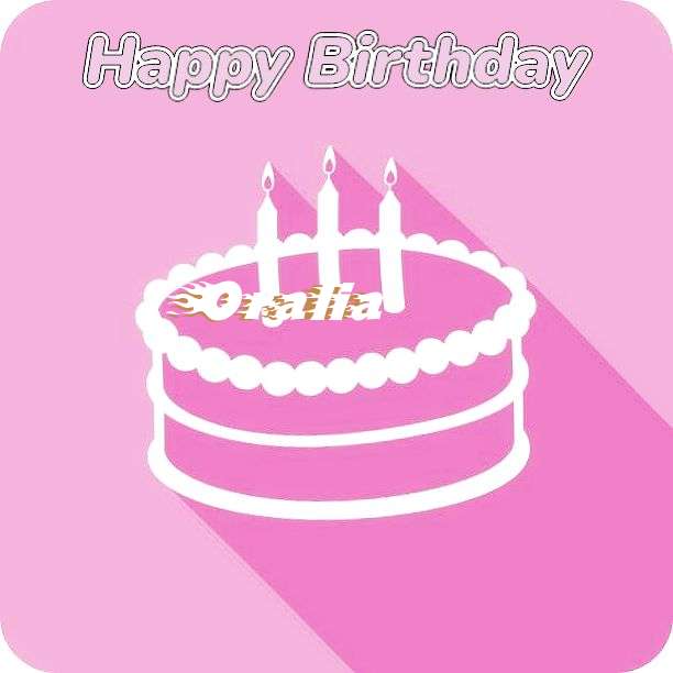 Oralia Birthday Celebration