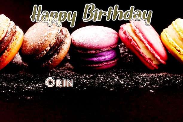 Orin Birthday Celebration